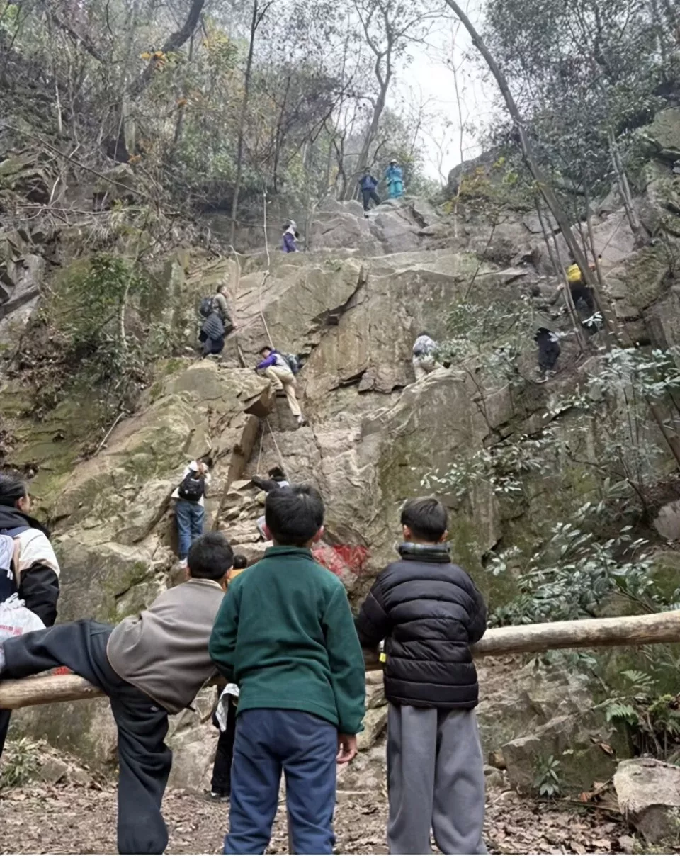 爬野山出事的孩子最小才4岁,“都是家长的问题”