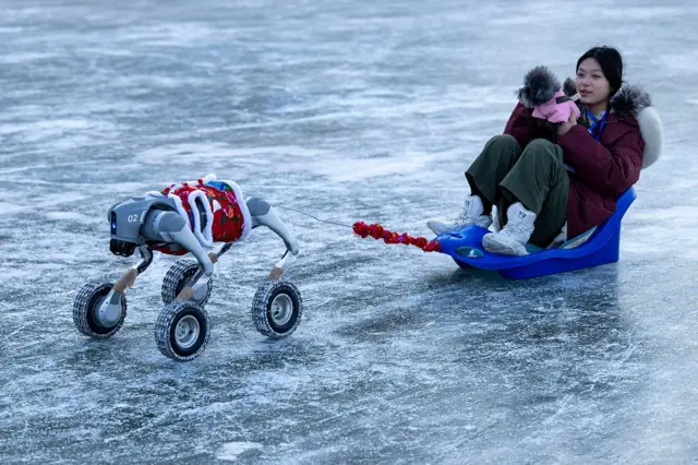 女生乘坐由机器人拉动的雪橇