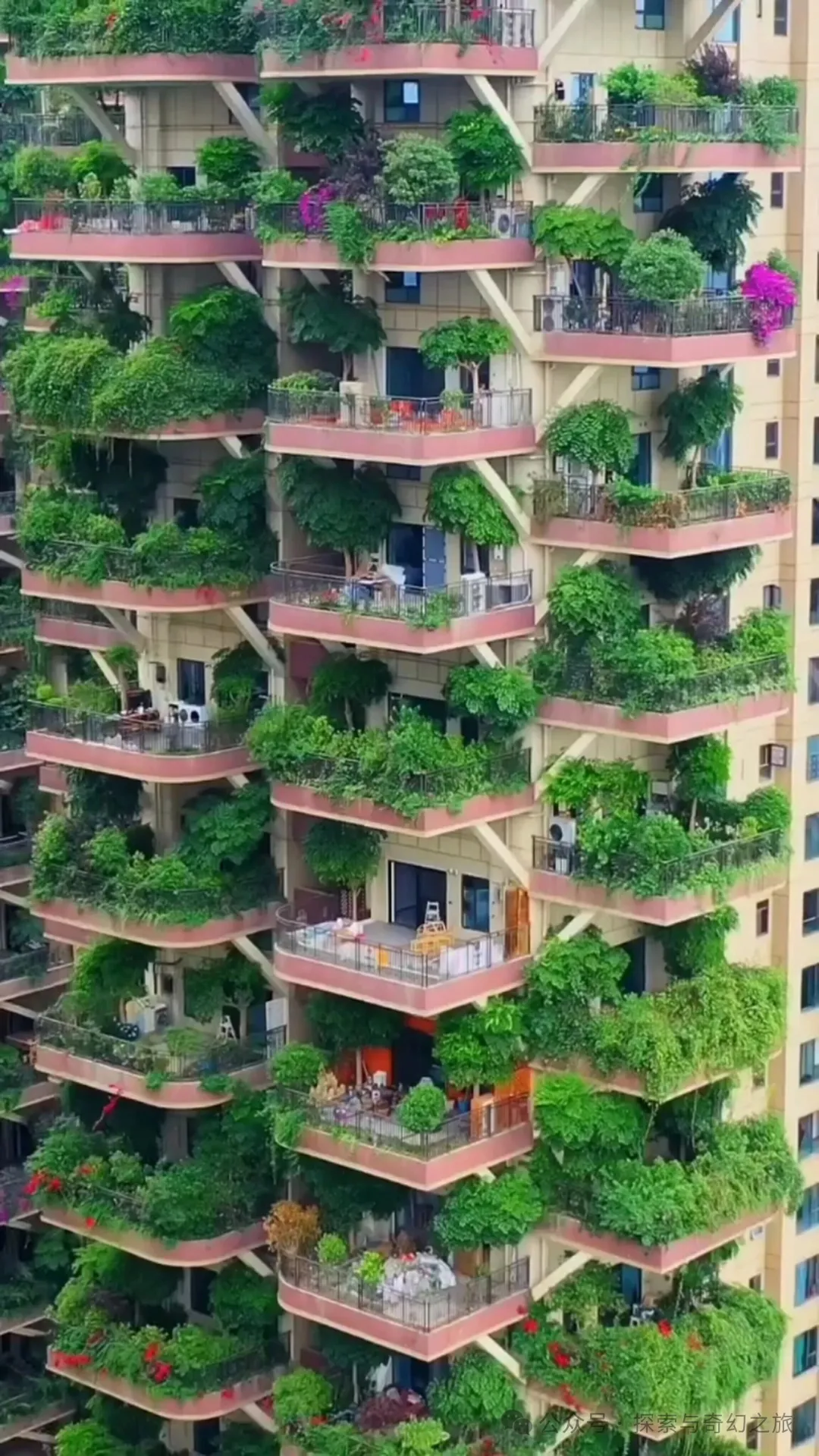 住进成都“空中森林”3年，从狂喜到崩溃