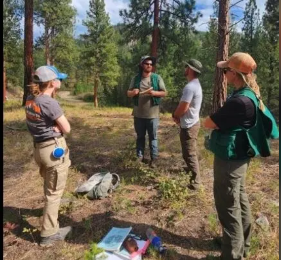 入住国家公园免费还有钱拿,但须做一事 入住国家公园免费还有钱拿,但须做一事