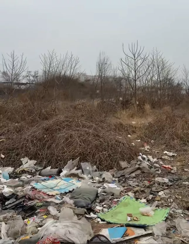 文物局回应“后周太祖郭威墓被垃圾包围”