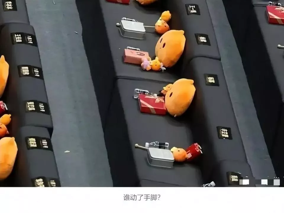 杨幂没想到,"C位风波"才过3天,邻座辛芷蕾就拿了官方大刊认证