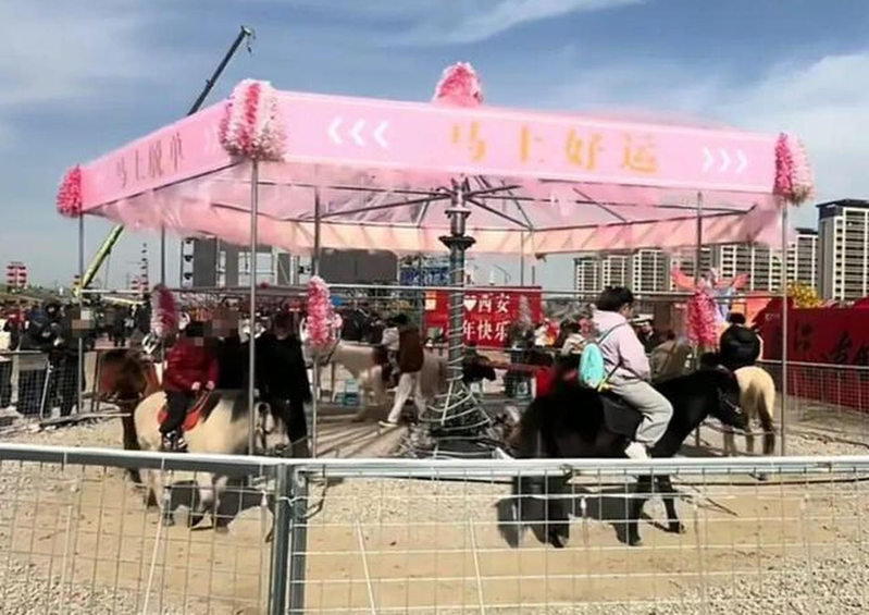 西安诗经里景区出现「旋转真马」。（取材自极目新闻）