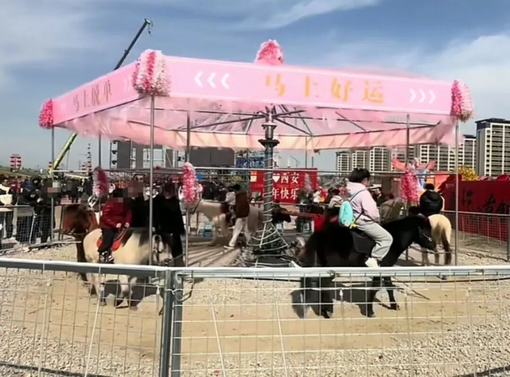 大陆西安1处景区推出「旋转真马」,引发网友关注是否有虐待动物之嫌。(图/取自极目... 大陆西安1处景区推出「旋转真马」,引发网友关注是否有虐待动物之嫌。(图/取自极目...