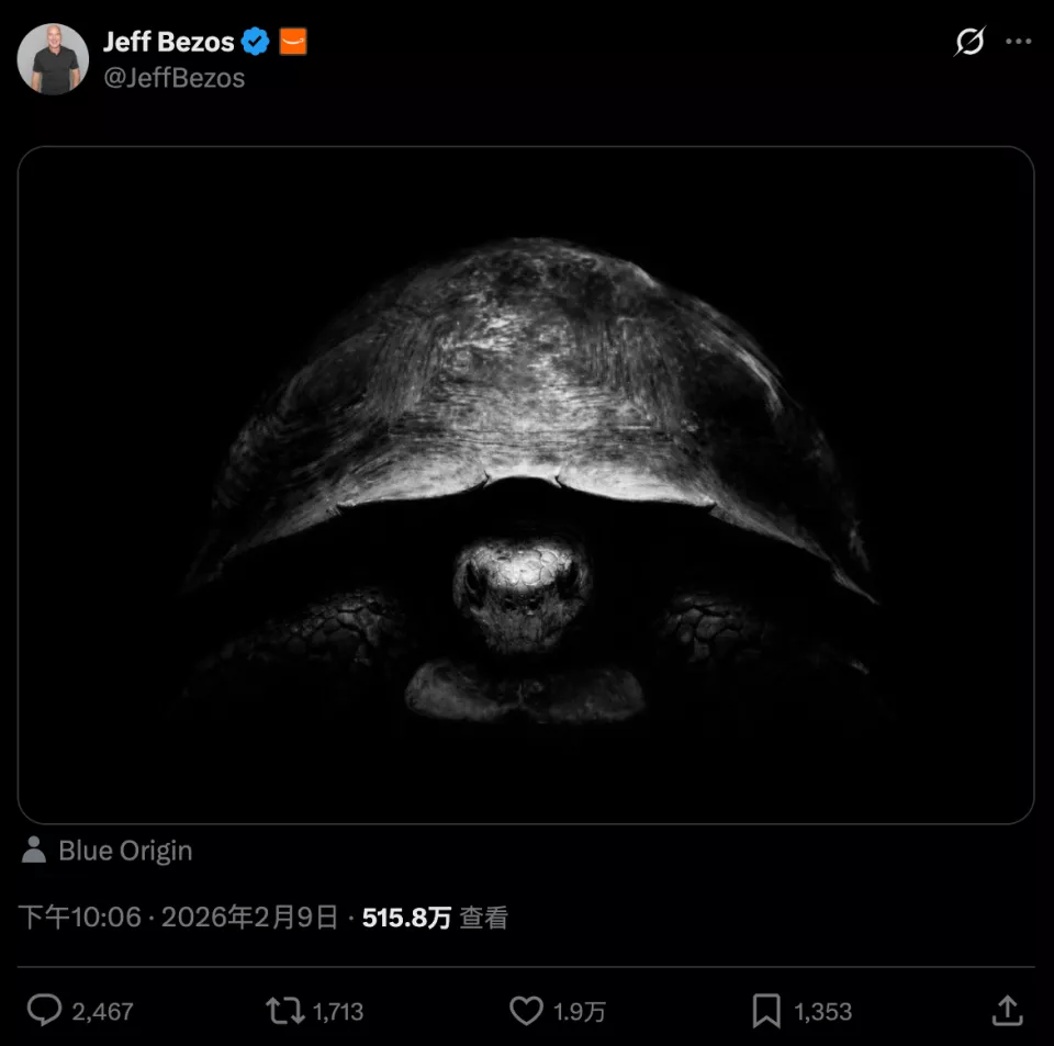 一张黑白乌龟照，让世界首富马斯克破防了？