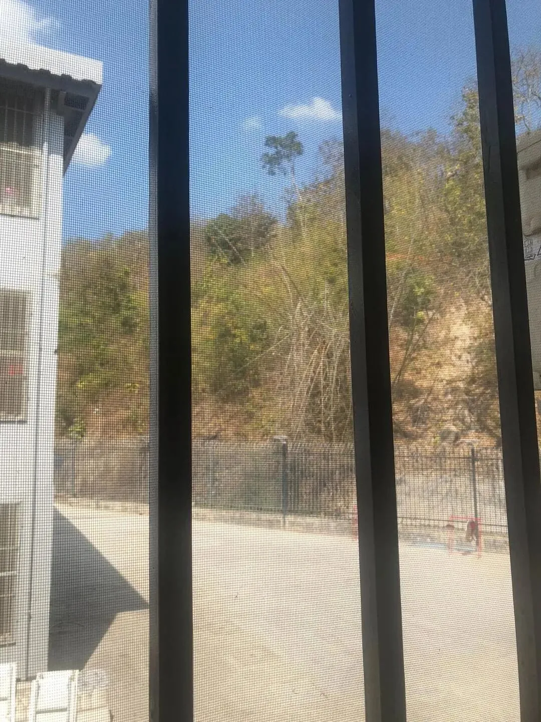 ▲窗口装着拇指粗细的铁栏,铁栏外还有一层铁网双重封闭