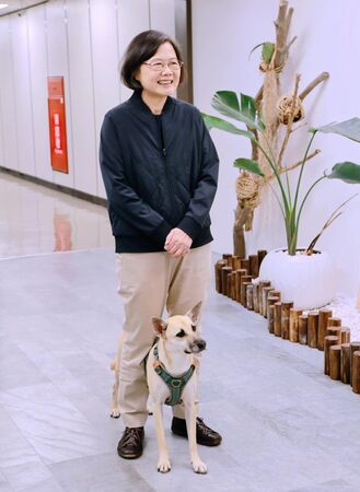 ▲蔡英文同框凤梨妹祝大家情人节快乐。 （图/翻摄自蔡英文Threads）