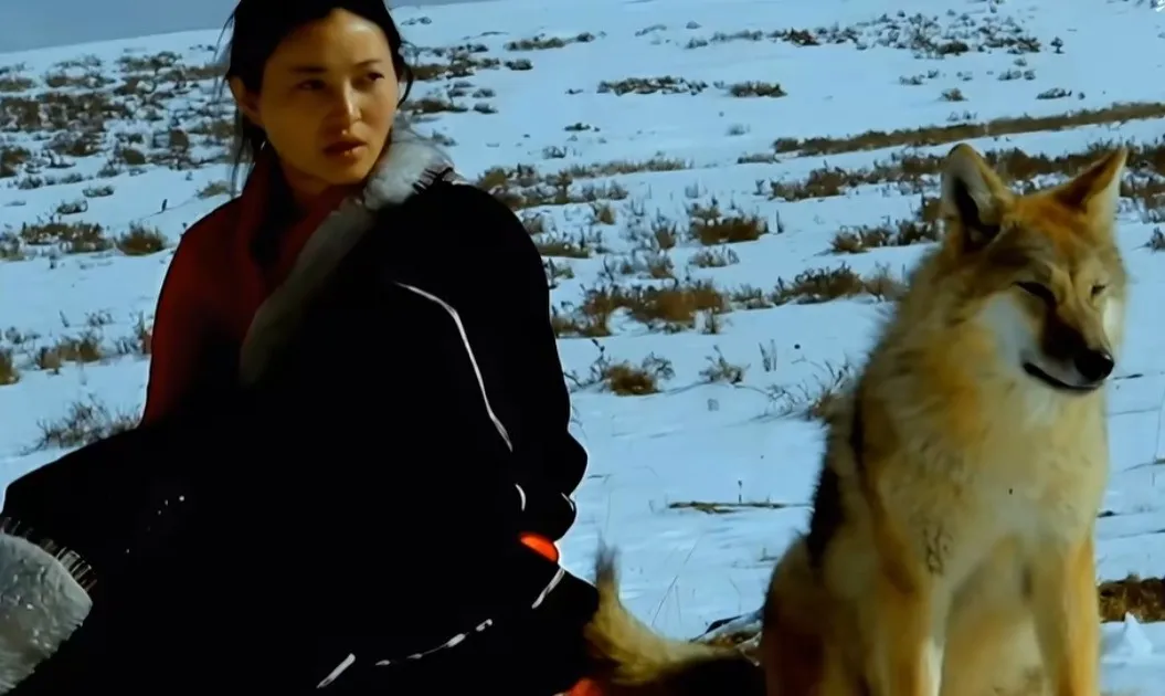 突然翻红,看哭全网,但已离世 突然翻红,看哭全网,但已离世