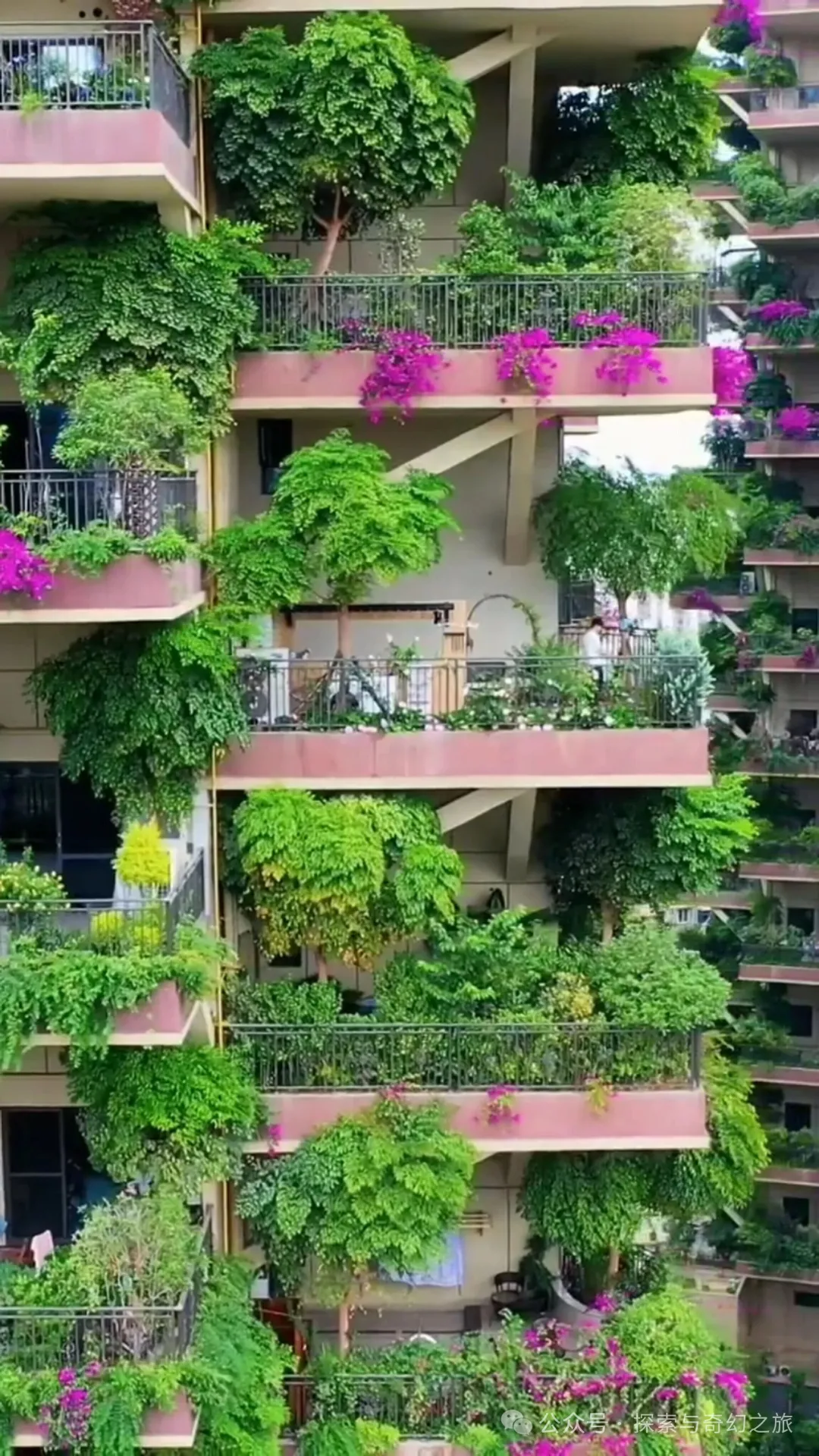 住进成都“空中森林”3年，从狂喜到崩溃