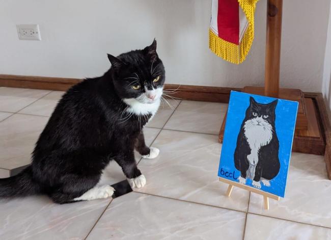 “首席捕鼠大臣”12岁安详离世　外交部沉痛悼念