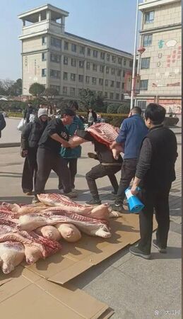 ▲▼大陆优秀高中生扛「猪羊」回家过年。 (图/翻摄极目新闻)