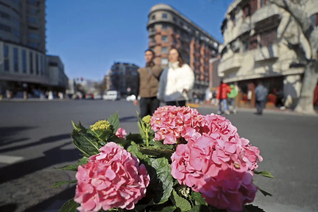 连南极都被“避雷”