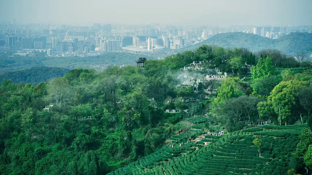 连南极都被“避雷”