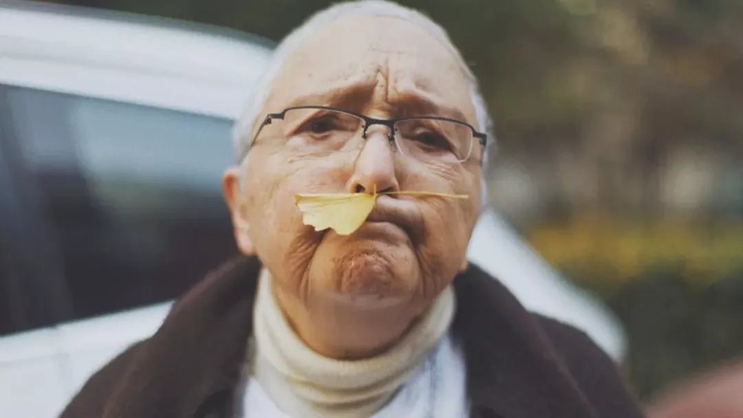 揭故宫假画被封杀40年 91岁学者隐居深山 活出纯粹灵魂