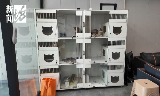 90后男生春节在上海狂赚16万元,每天睡3小时……这种新职业爆火