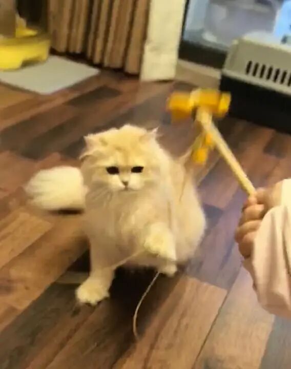 90后男生春节狂赚16万元…这种新职业爆火