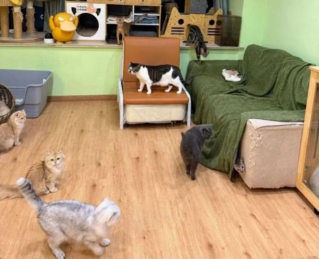 90后男生春节狂赚16万元…这种新职业爆火