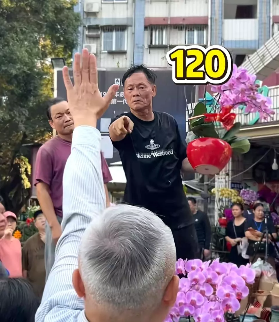 深圳花市现“反向拍卖”，蝴蝶兰从250元喊到120元成交