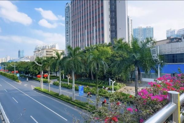 华侨回国观察：空城令人震惊 物价低到离谱