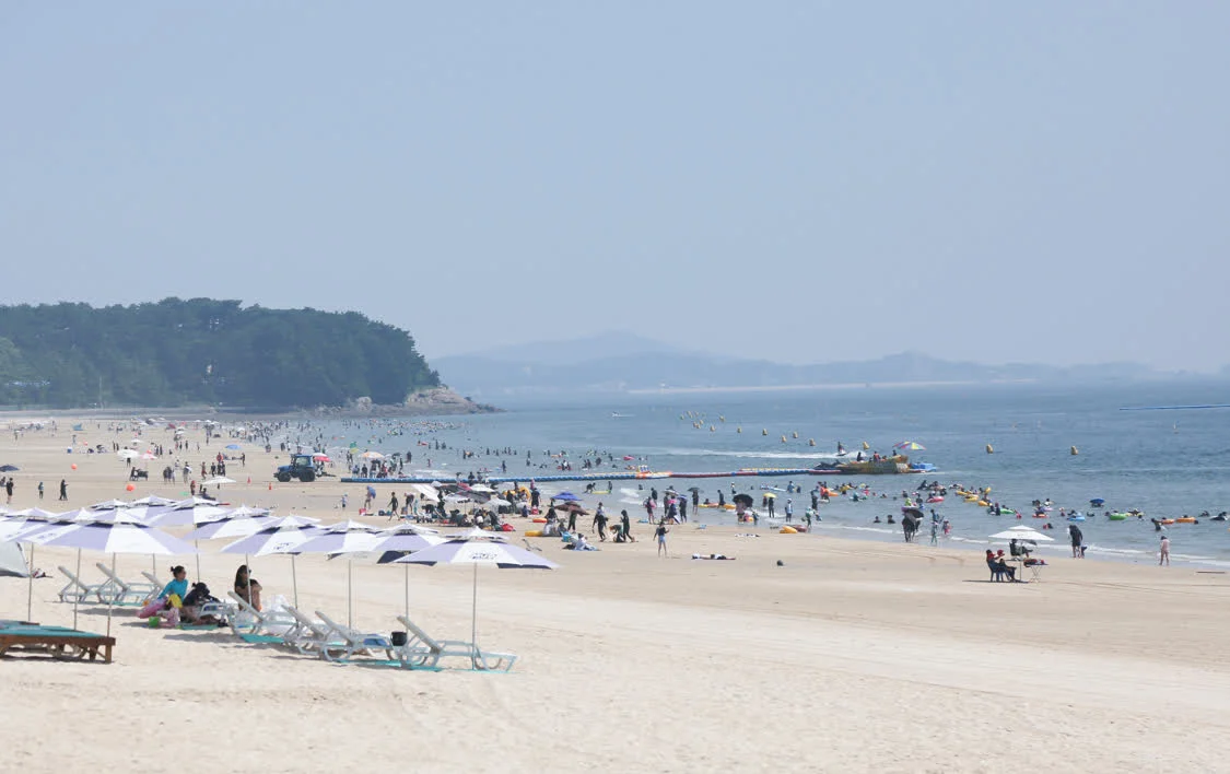 硬币、珠宝、贵金属……韩国兴起海滩“淘金”热