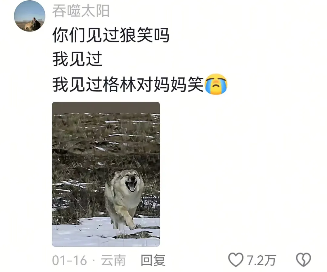 突然翻红,看哭全网,但已离世 突然翻红,看哭全网,但已离世