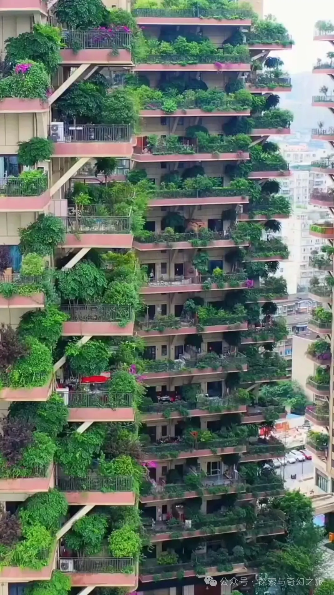 住进成都“空中森林”3年,从狂喜到崩溃 住进成都“空中森林”3年,从狂喜到崩溃