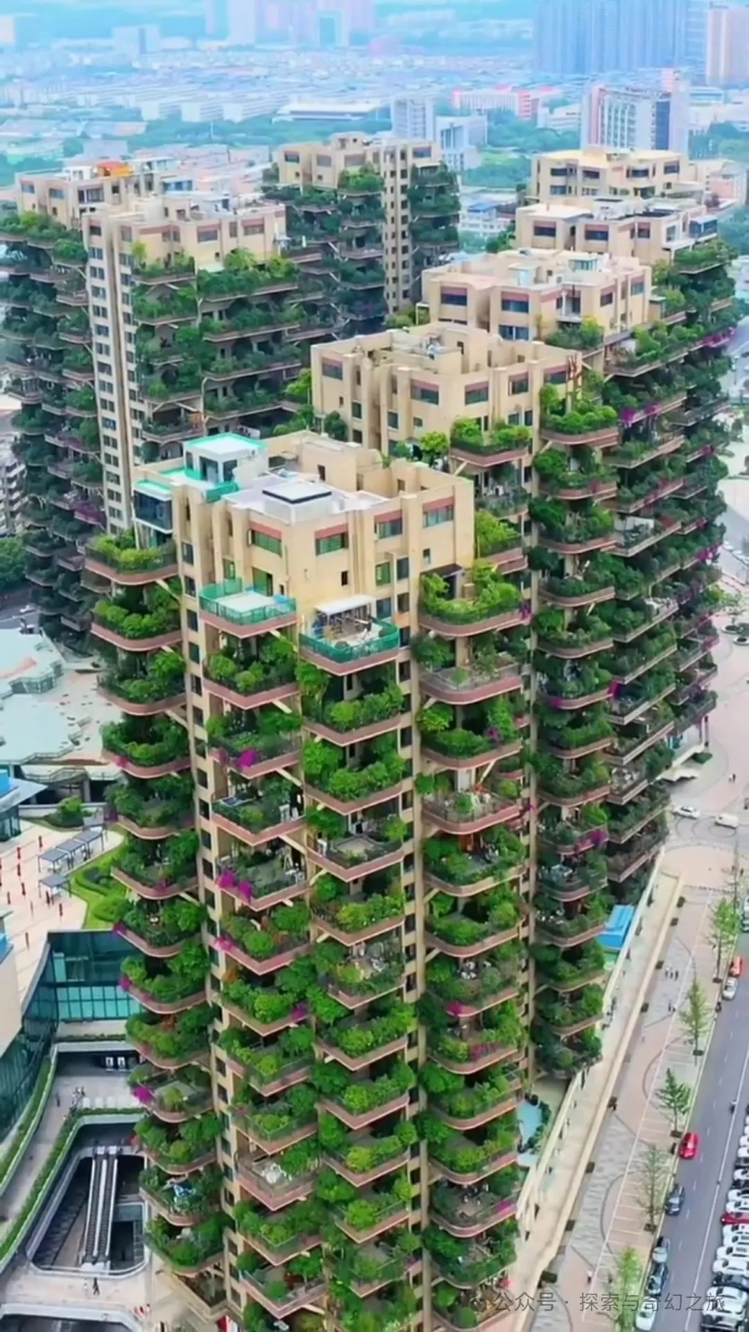 住进成都“空中森林”3年,从狂喜到崩溃 住进成都“空中森林”3年,从狂喜到崩溃