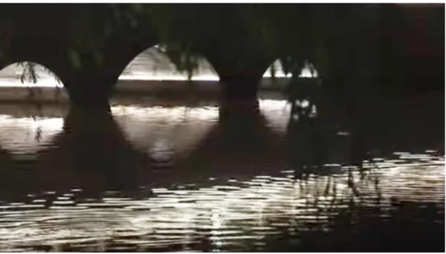 习近平照片引热议 保镖当众干这事 习近平照片引热议 保镖当众干这事