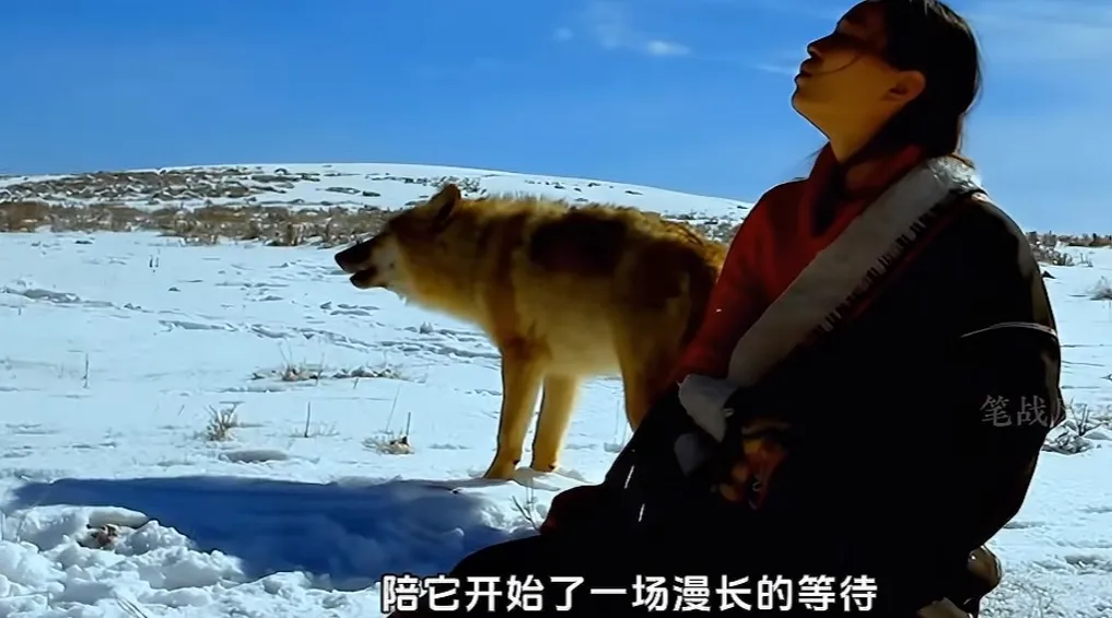 突然翻红，看哭全网，但已离世