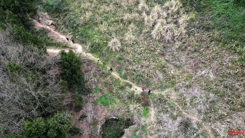 68岁老人离家走失8天：被村民在山林找到 以树叶为食