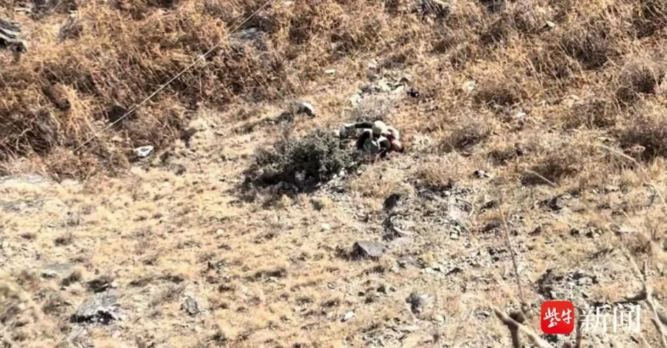 男童春节假期虎跳峡坠崖遇难，目击者讲述事发经过