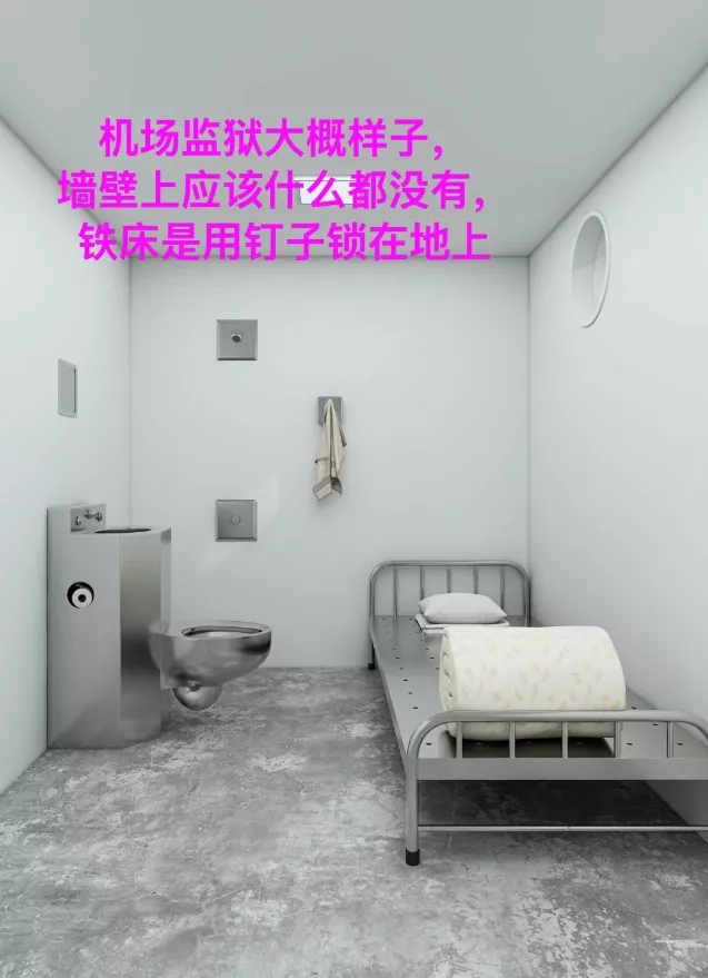 H1B华人返美关小黑屋遭遣返 因系统显示"活跃选民"