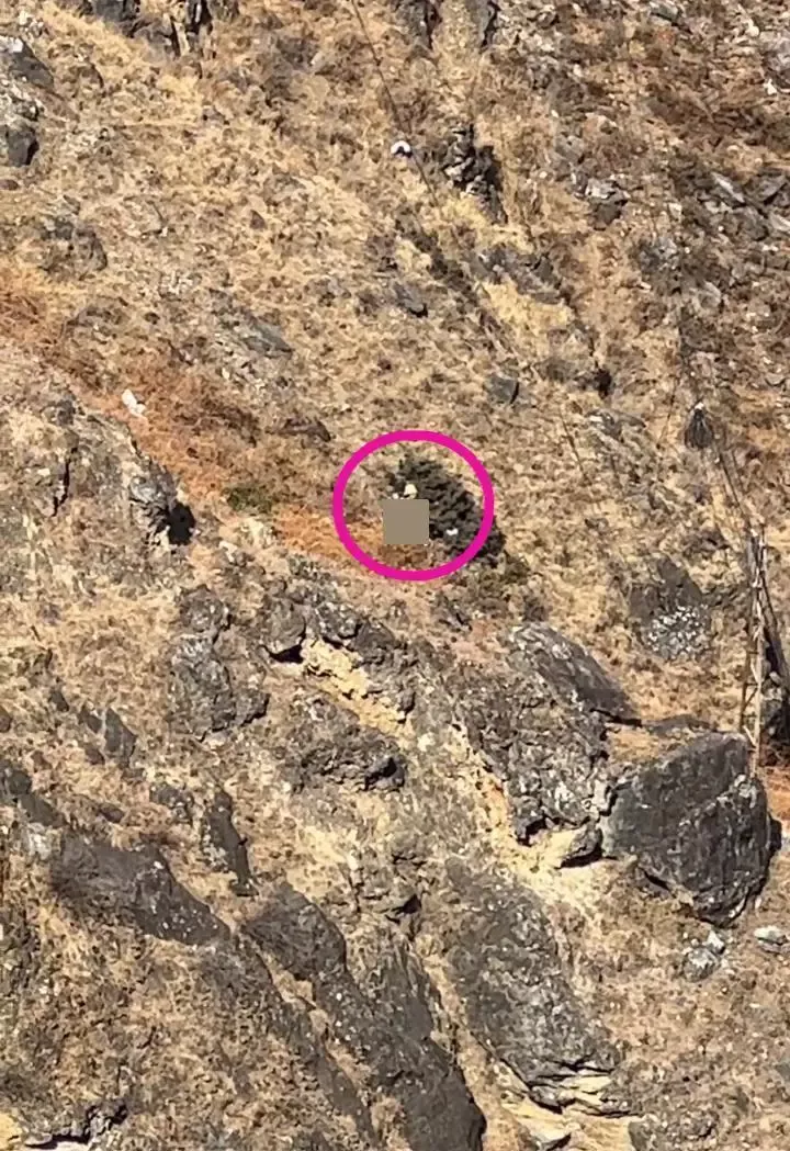 游客目击男童虎跳峡坠崖遇难:事发野外路段