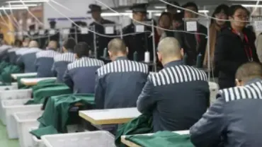 被判无期的人，每天在监狱里做些什么