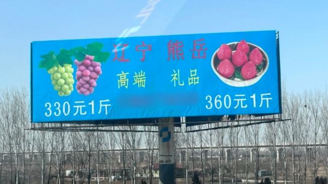 草莓360元1斤 中国天价水果惊呆网友