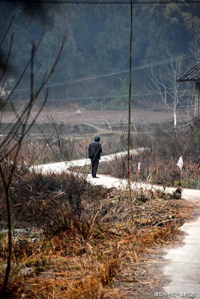 扎心，当今社会过得最惨的三类人