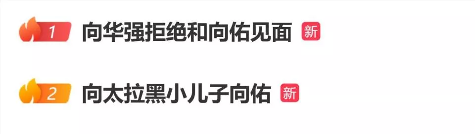 向华强拒绝和向佑见面,向太陈岚拉黑小儿子向佑