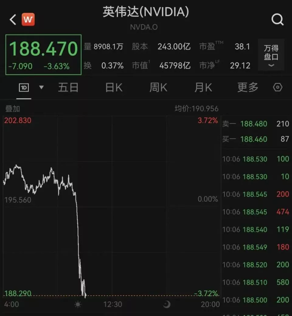 英伟达直线跳水，中概股重挫，白银、油价也在跌