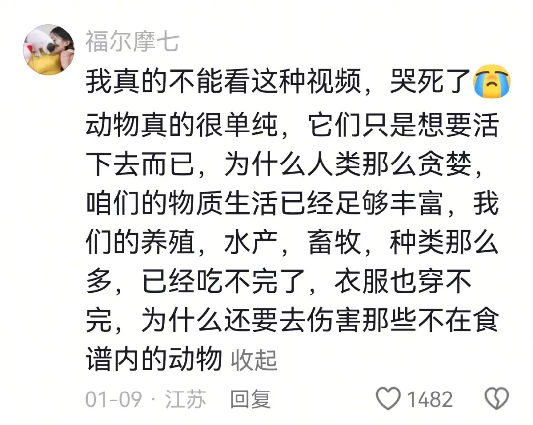 突然翻红，看哭全网，但已离世