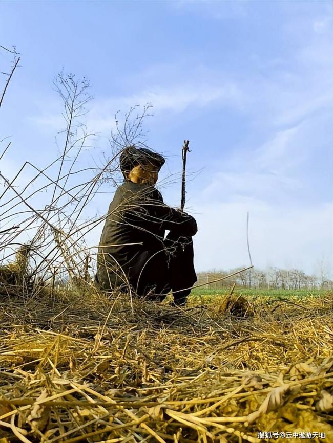 扎心，当今社会过得最惨的三类人