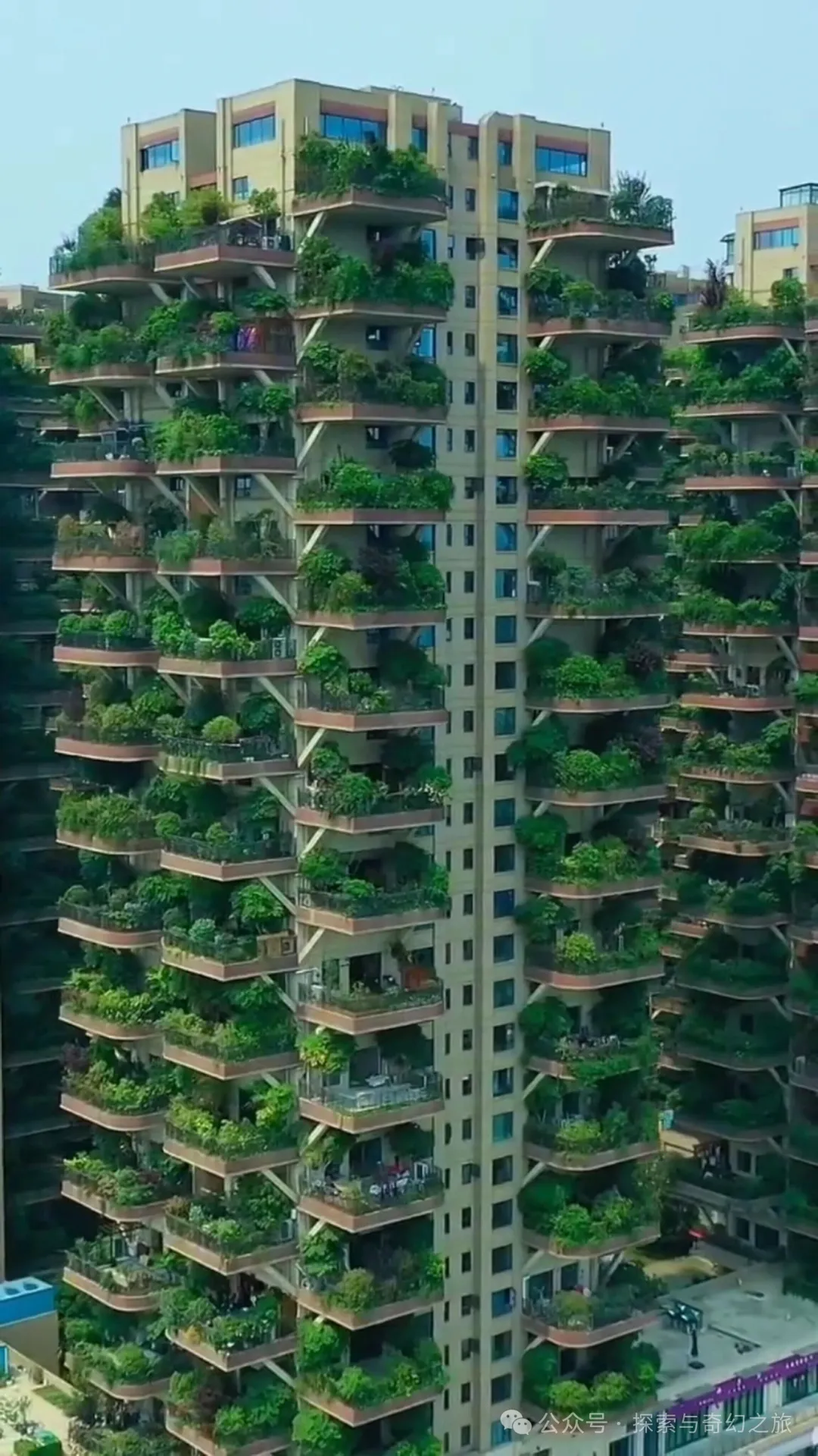 住进成都“空中森林”3年,从狂喜到崩溃 住进成都“空中森林”3年,从狂喜到崩溃