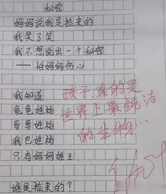 小学生满分作文《不要妹妹》走红 妈妈羞得没脸去学校