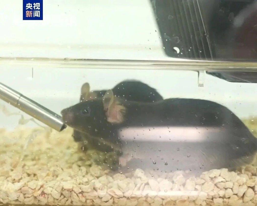 美国与以色列对伊朗发动军事行动震撼全球,也让一众中国军事专家和国际关系学者跌破眼... 美国与以色列对伊朗发动军事行动震撼全球,也让一众中国军事专家和国际关系学者跌破眼...