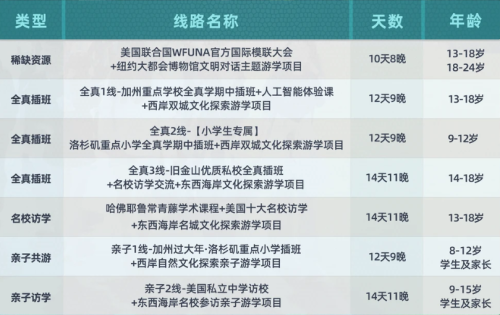 我在纽约，撞见8万元研学团打水漂