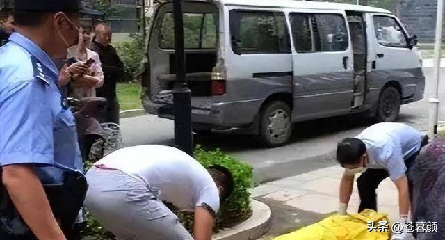 中国顶尖学霸，距高考百天跳楼 自述看透两件事