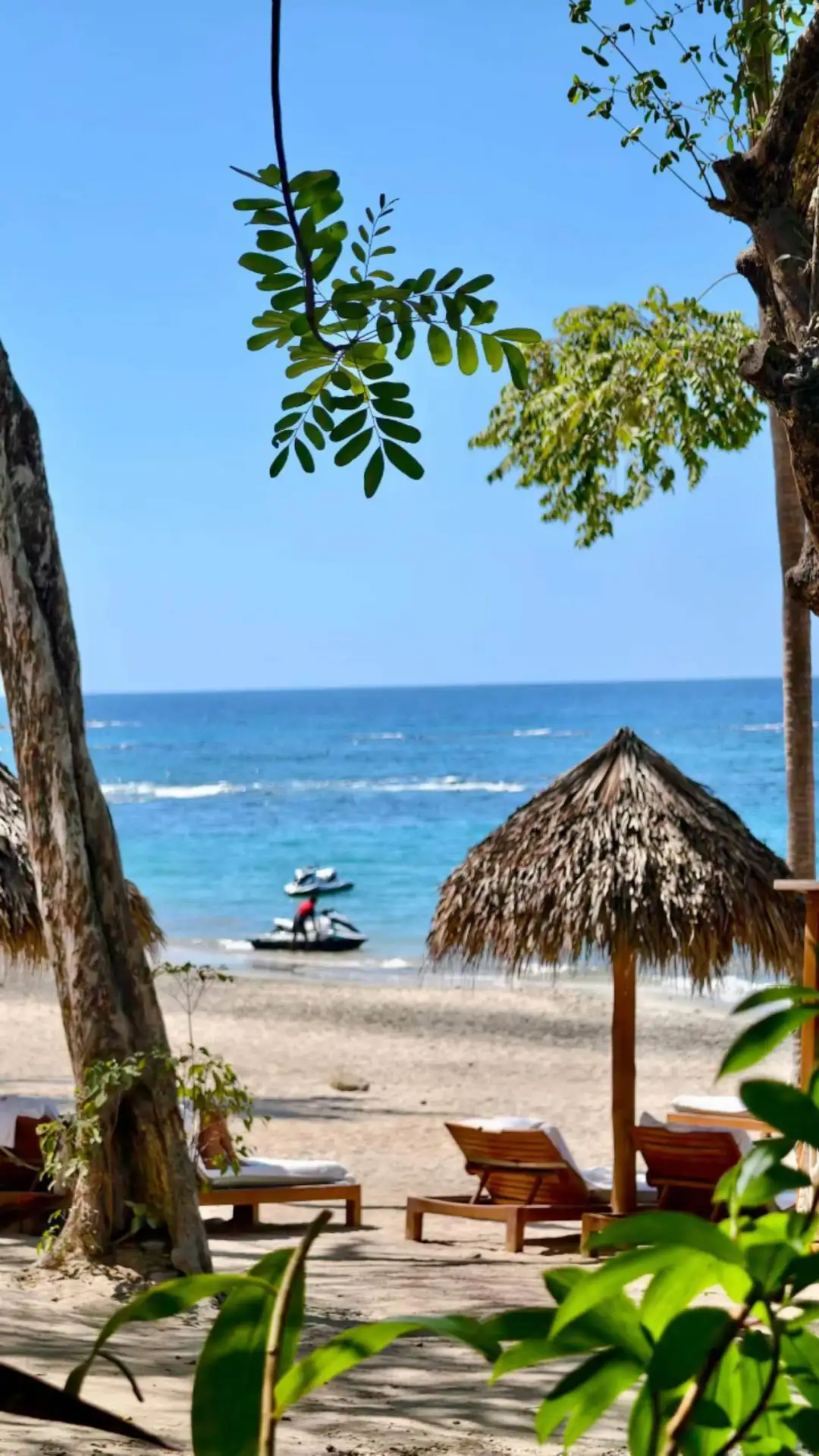 春节白人式度假的中国人,真香了? 春节白人式度假的中国人,真香了?