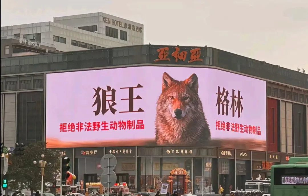 突然翻红，看哭全网，但已离世