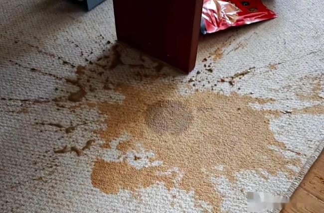 家里这6样都是“精致垃圾”，以后别买了