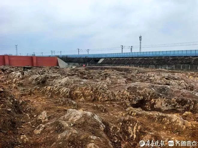 山东修高铁站挖出约5亿年前远古奇观