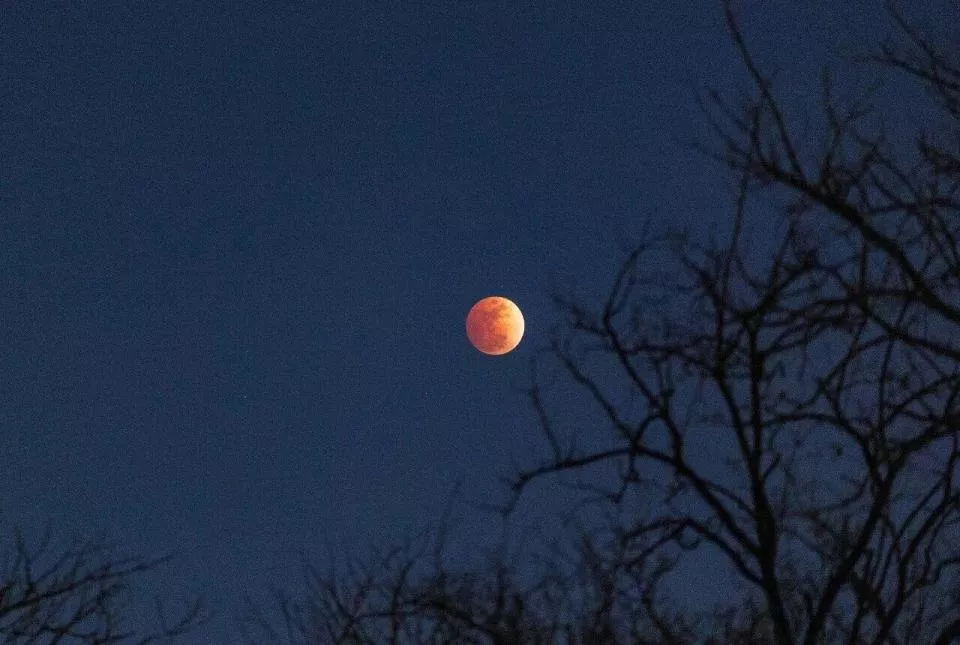 刷屏朋友圈！“元宵红月”高清大图来了